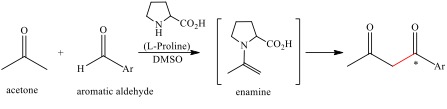 Enamine catalysis