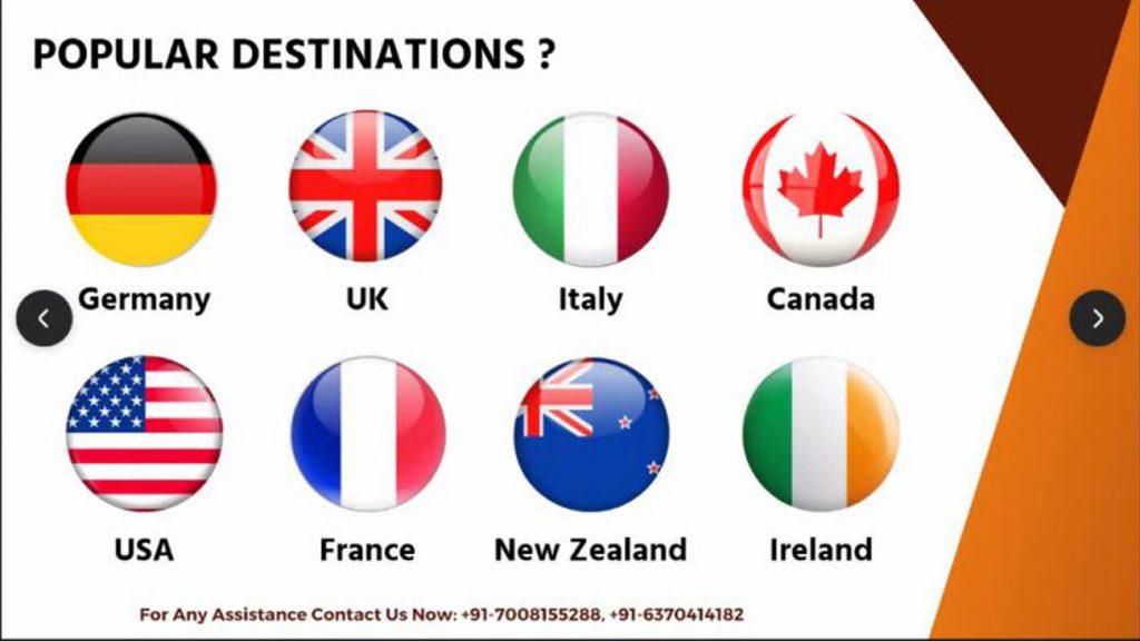 NSS-SME Organizes ‘Study Abroad Webinar’